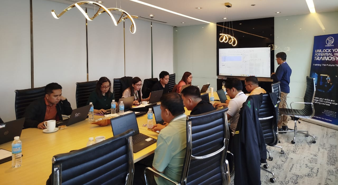 Trainosys professional workshop with participants doing activities